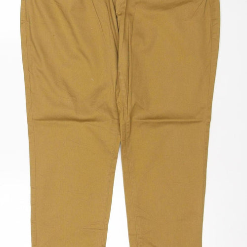 Premier Women’s Brown UK 16 Regular Straight Workwear Jeans PR570
