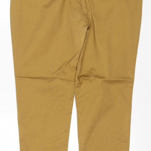 Premier Women’s Brown UK 16 Regular Straight Workwear Jeans PR570