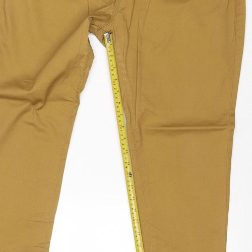 Premier Women’s Brown UK 16 Regular Straight Workwear Jeans PR570