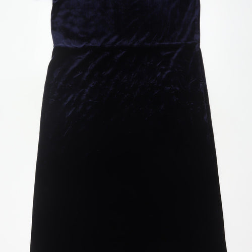 Nature's Smiley Women Blue L Long Velvet A-Line Dress