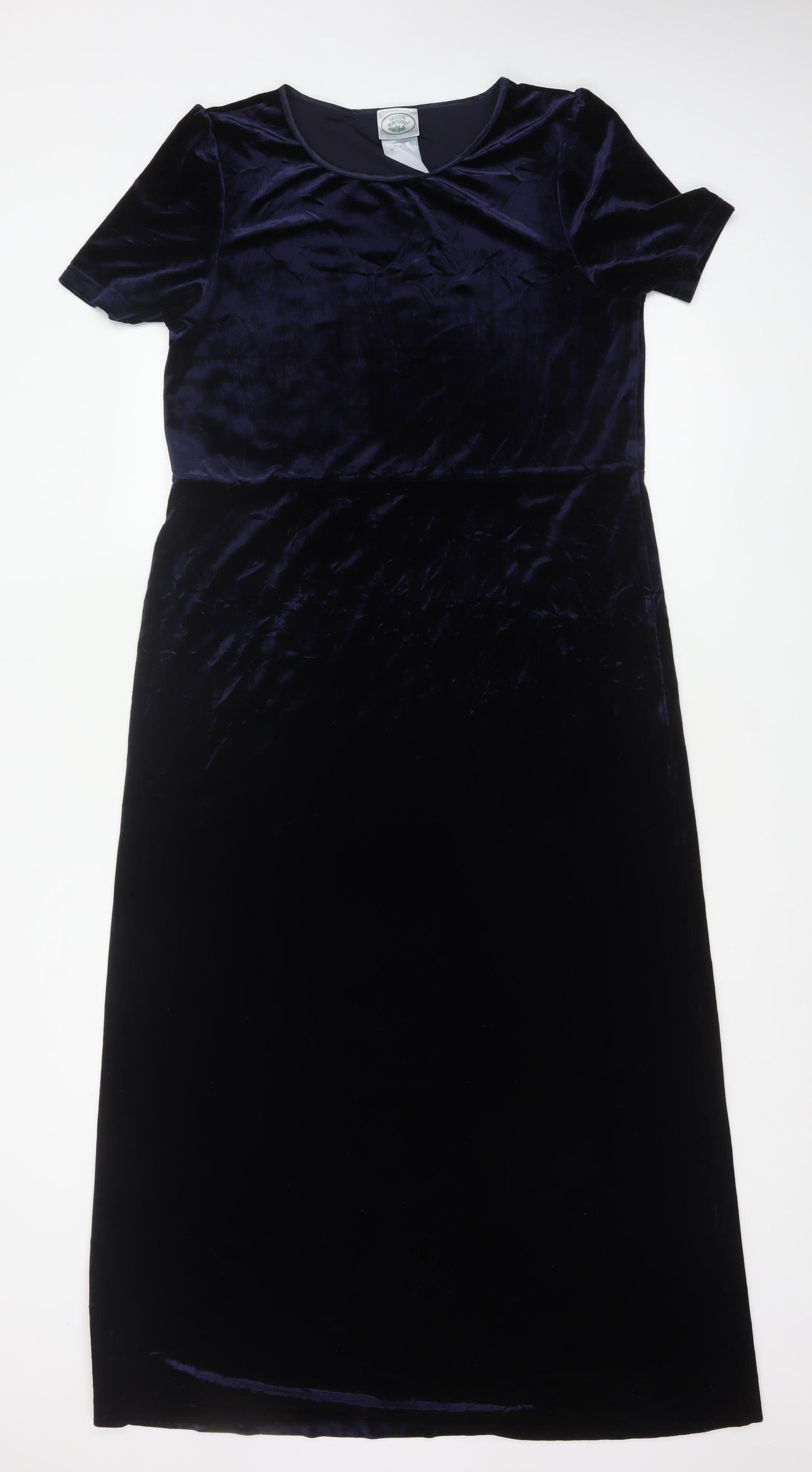 Nature's Smiley Women Blue L Long Velvet A-Line Dress