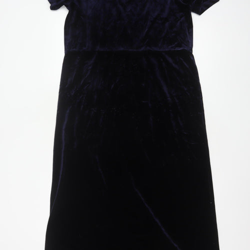 Nature's Smiley Women Blue L Long Velvet A-Line Dress