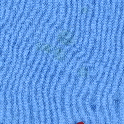Marks & Spencer Women Blue Size 12 Crew Neck Knit Pullover Jumper