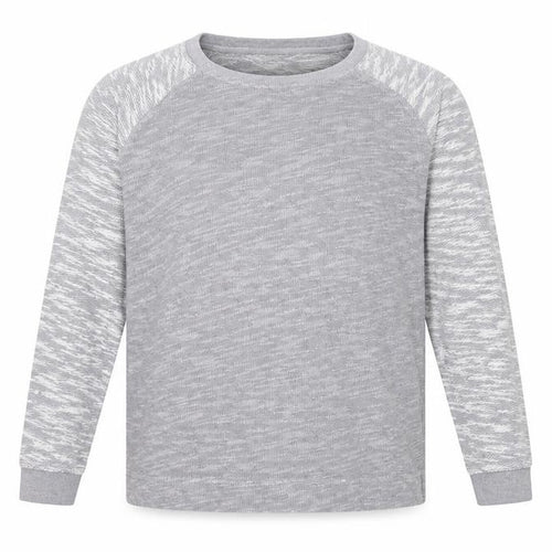 Champion Unisex Adults Grey XL Colourblock Raglan Jersey T-Shirt