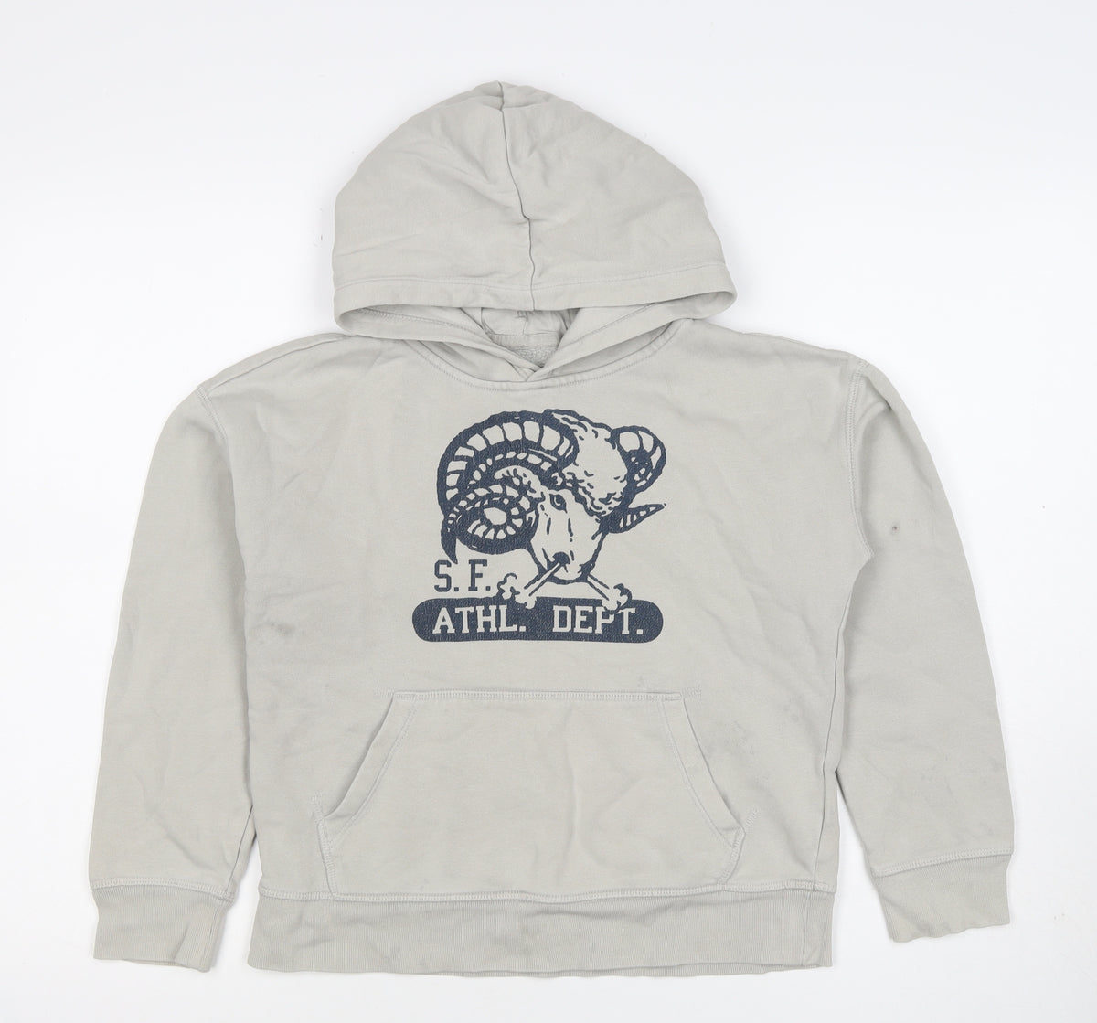 Gap Boys Beige Ram Graphic Pullover Hoodie 10-11 Years Fleece