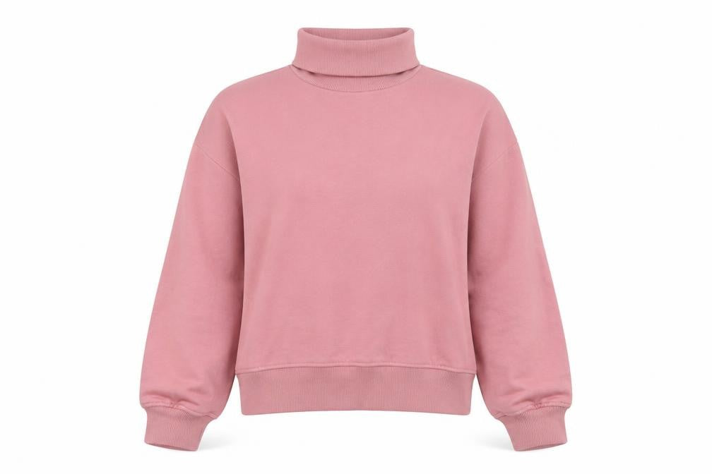 Front view of Zara Women Pink M Roll Neck Raglan Sleeve Pullover Sweatshirt