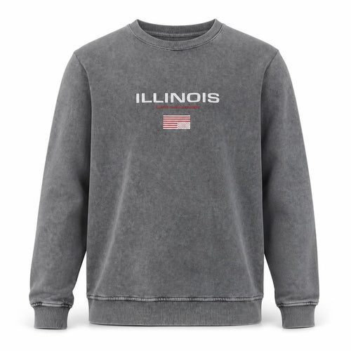 ASOS Design Men's Grey M Illinois USA Graphic Print Pullover Sweatshirt