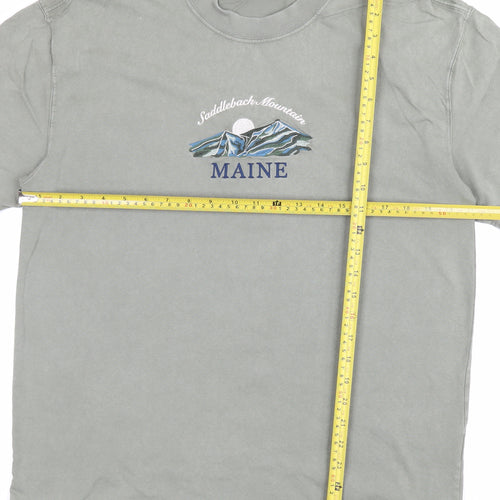 Hollister Men’s Green M Heavyweight Boxy Fit Maine Mountain T-Shirt