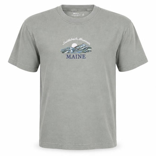 Hollister Men’s Green M Heavyweight Boxy Fit Maine Mountain T-Shirt
