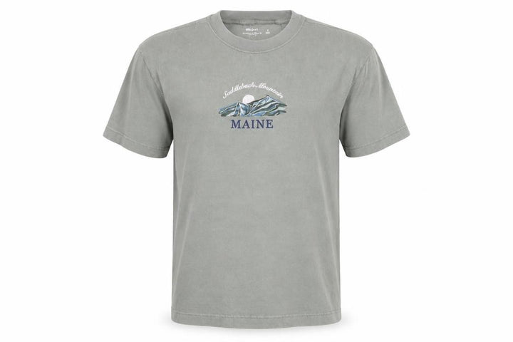 Hollister Men’s Green M Heavyweight Boxy Fit Maine Mountain T-Shirt