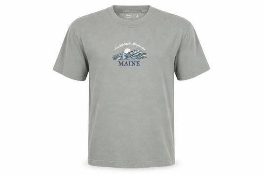 Hollister Men’s Green M Heavyweight Boxy Fit Maine Mountain T-Shirt