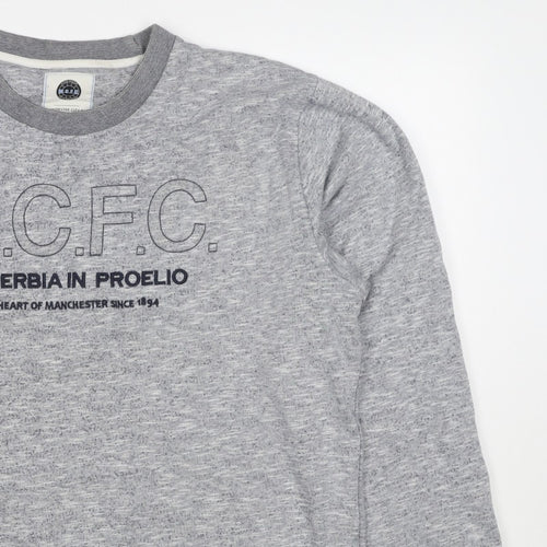 Manchester City FC Men's Grey 3XL Pullover Graphic Sweatshirt