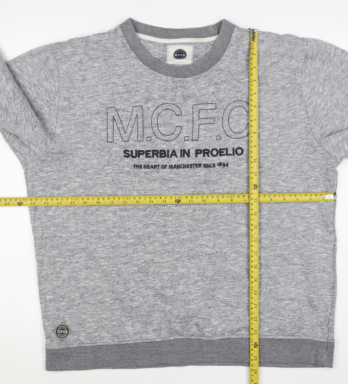 Manchester City FC Men's Grey 3XL Pullover Graphic Sweatshirt