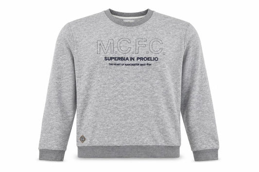 Manchester City FC Men's Grey 3XL Pullover Graphic Sweatshirt