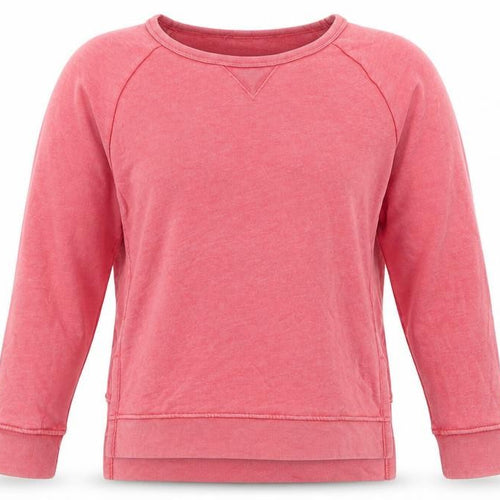 Gap Women’s Pink Size S Crew Neck Raglan Pullover Sweatshirt
