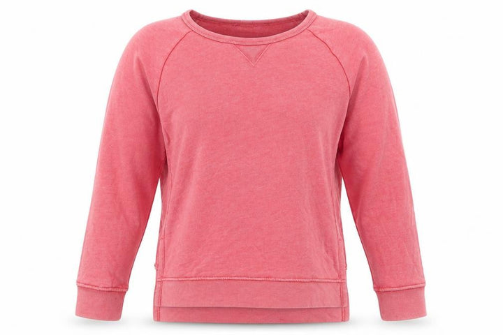 Gap Women’s Pink Size S Crew Neck Raglan Pullover Sweatshirt
