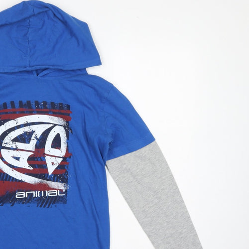 Animal Boys Blue Grey Logo Graphic Pullover Hoodie 13-14 Years
