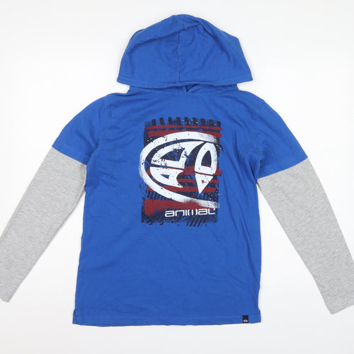 Animal Boys Blue Grey Logo Graphic Pullover Hoodie 13-14 Years