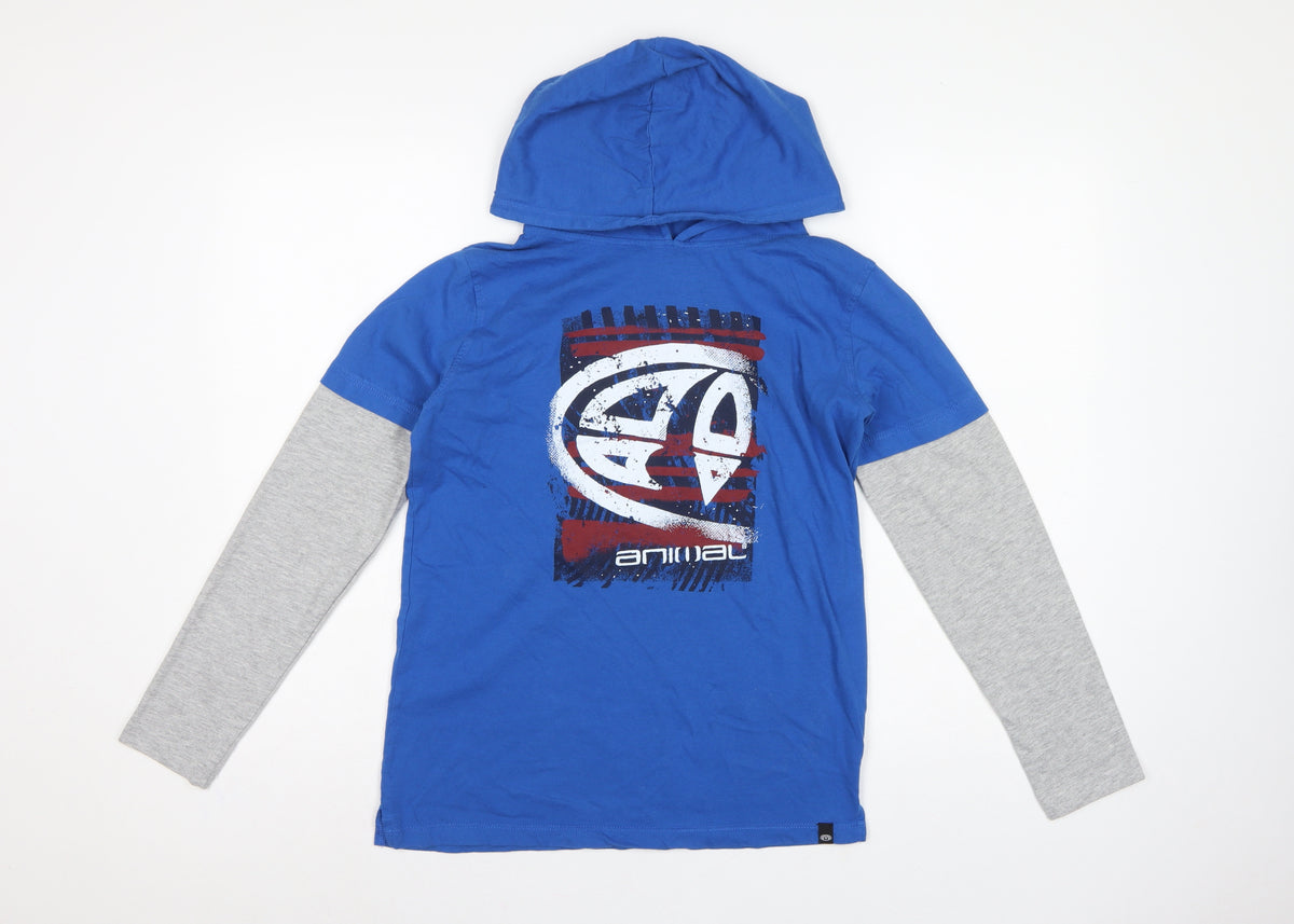 Animal Boys Blue Grey Logo Graphic Pullover Hoodie 13-14 Years