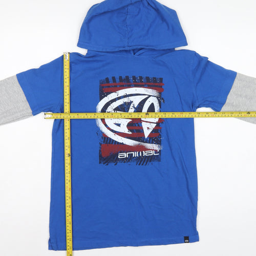 Animal Boys Blue Grey Logo Graphic Pullover Hoodie 13-14 Years