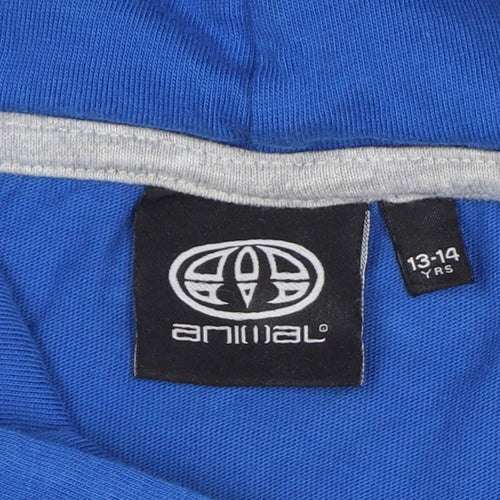 Animal Boys Blue Grey Logo Graphic Pullover Hoodie 13-14 Years