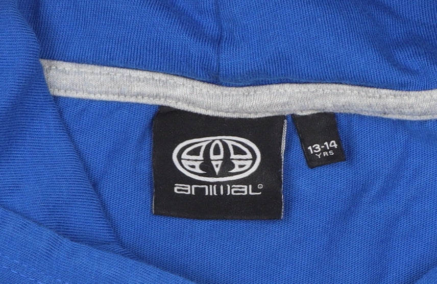 Animal Boys Blue Grey Logo Graphic Pullover Hoodie 13-14 Years