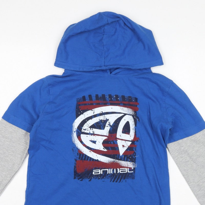 Animal Boys Blue Grey Logo Graphic Pullover Hoodie 13-14 Years