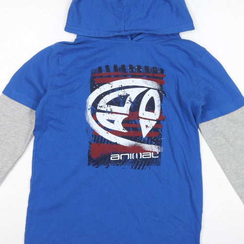 Animal Boys Blue Grey Logo Graphic Pullover Hoodie 13-14 Years