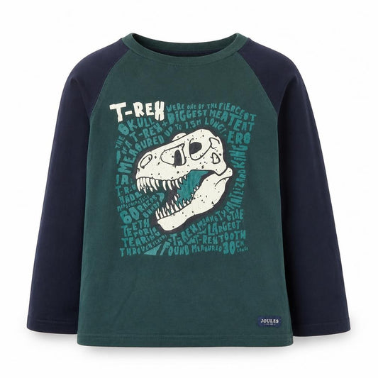 Joules Boys Green Blue 7-8 Years Dinosaur Graphic Long Sleeve T-Shirt
