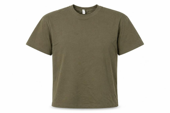 Topshop Women Green XS Basic Cotton Raglan Short Sleeve T-Shirt