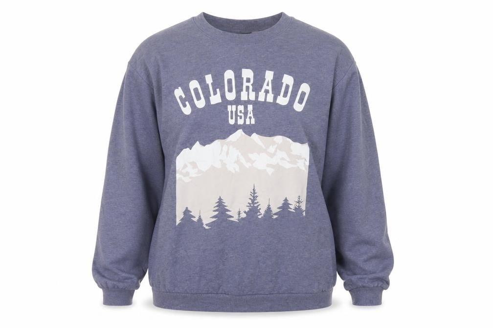 Front view of H&M Women Grey S Colorado USA Graphic Fleece Sweatshirt Pullover