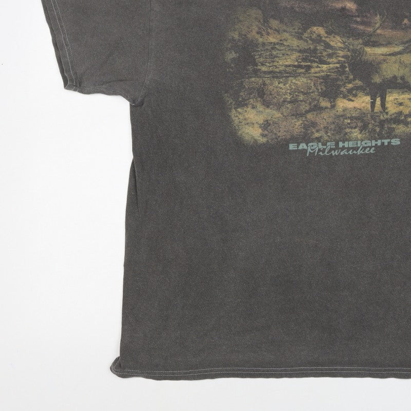 Nasty Gal Women’s Grey M Basic Eagle Heights Graphic T-Shirt