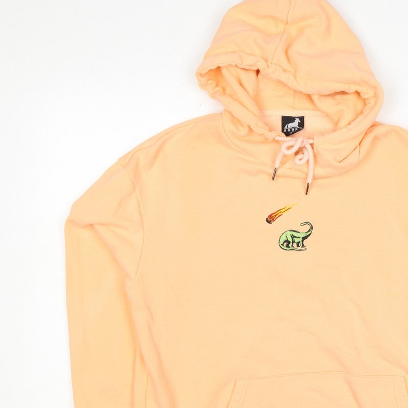 Agora Men's Orange M Pullover Hoodie Dinosaur Embroidered Cotton