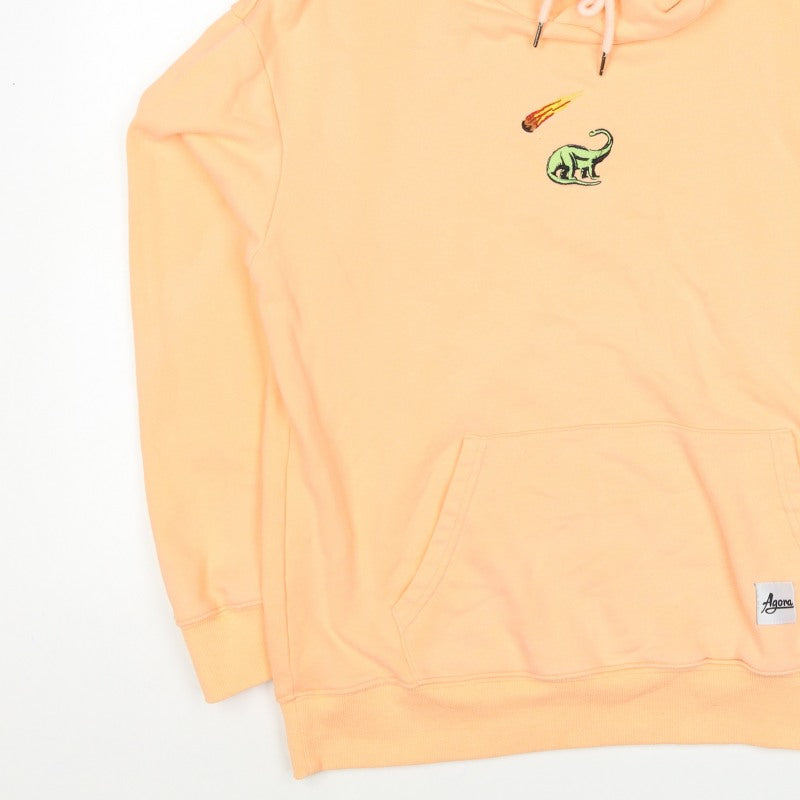 Agora Men's Orange M Pullover Hoodie Dinosaur Embroidered Cotton
