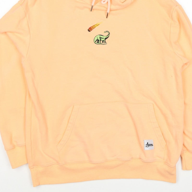 Agora Men's Orange M Pullover Hoodie Dinosaur Embroidered Cotton