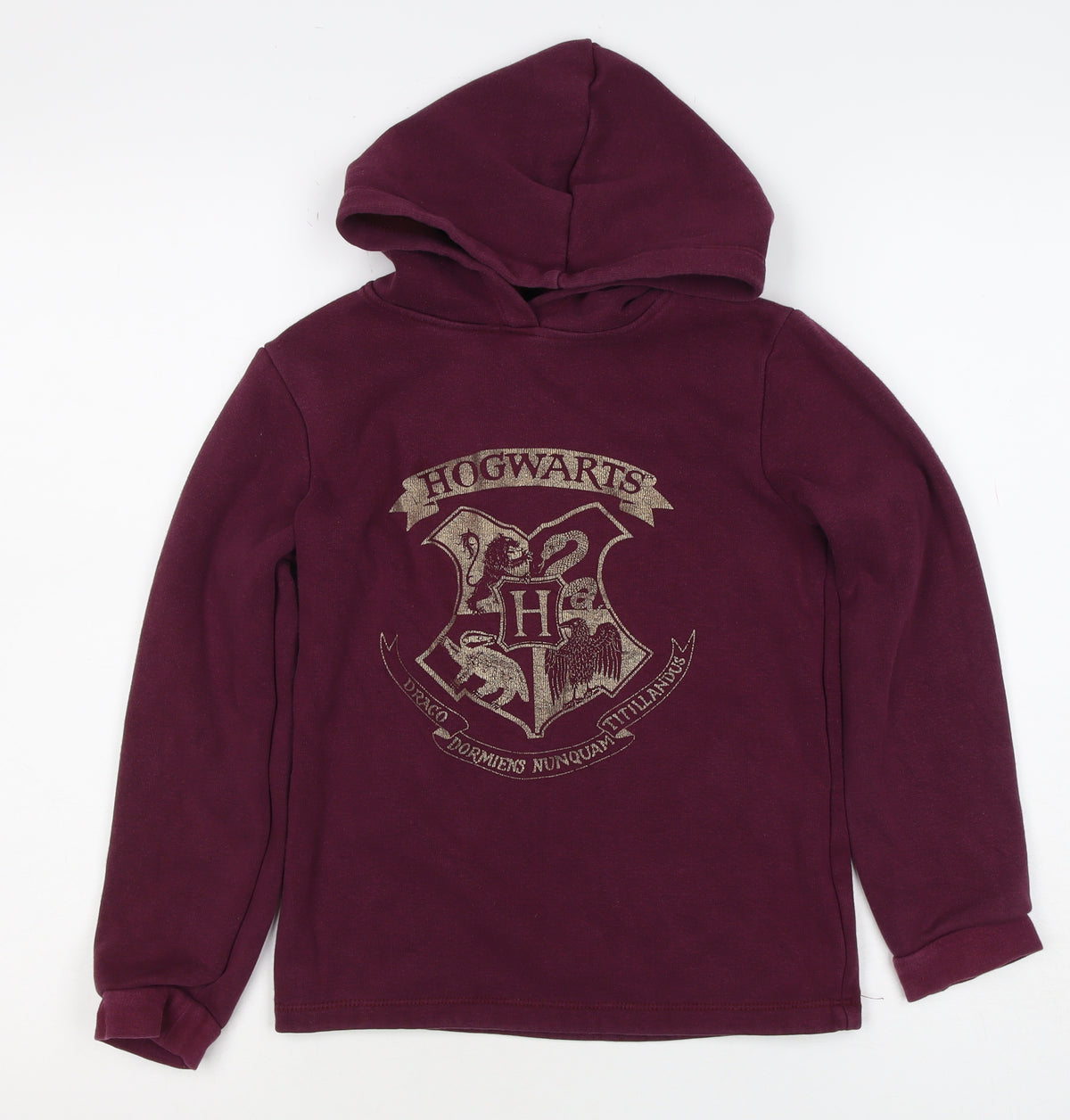 Harry Potter Boys Burgundy Hogwarts Crest Pullover Hoodie 9-10 Years
