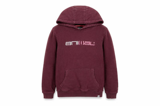 Animal Girls Brown 9-10 Years Pullover Hoodie Embroidered Logo
