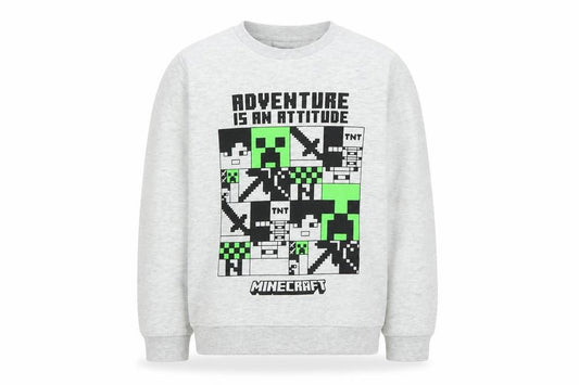 Minecraft Boys Grey 9-10 Years Pullover Graphic Print Sweatshirt