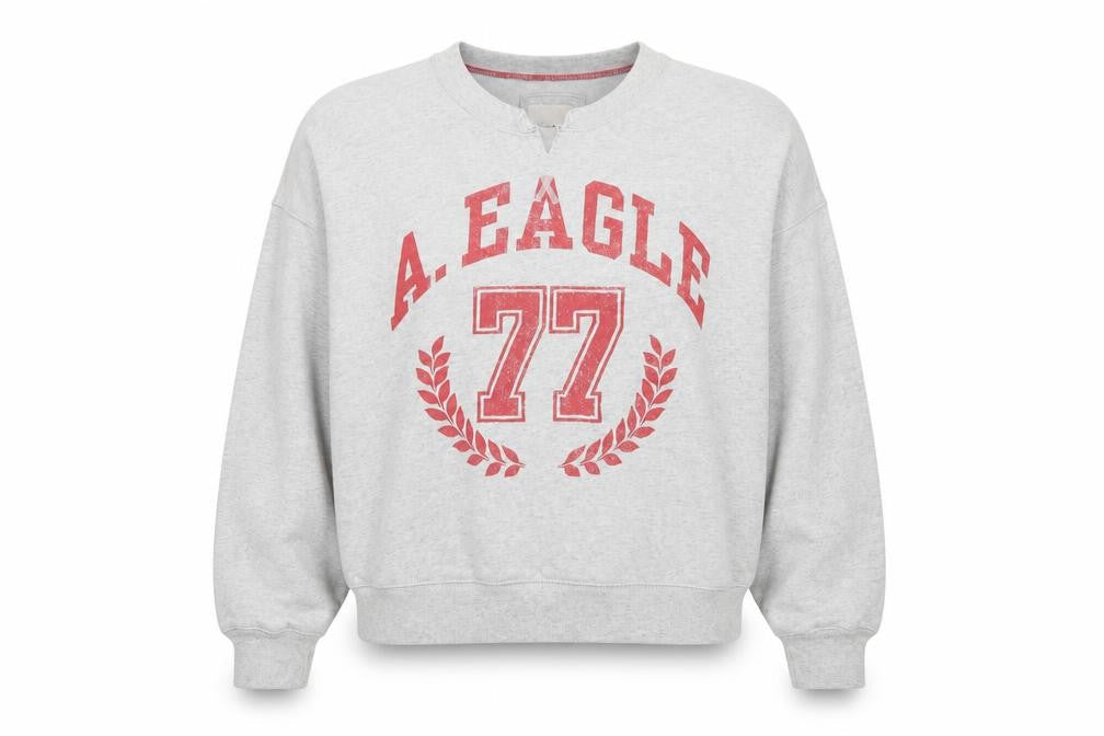 American Eagle Women’s Grey L Pullover Sweatshirt College Graphic