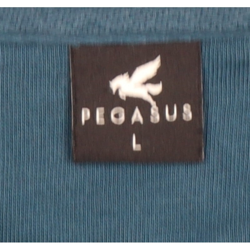 Pegasus Men’s Blue L Collared Henley Button Sweatshirt Chest Pocket