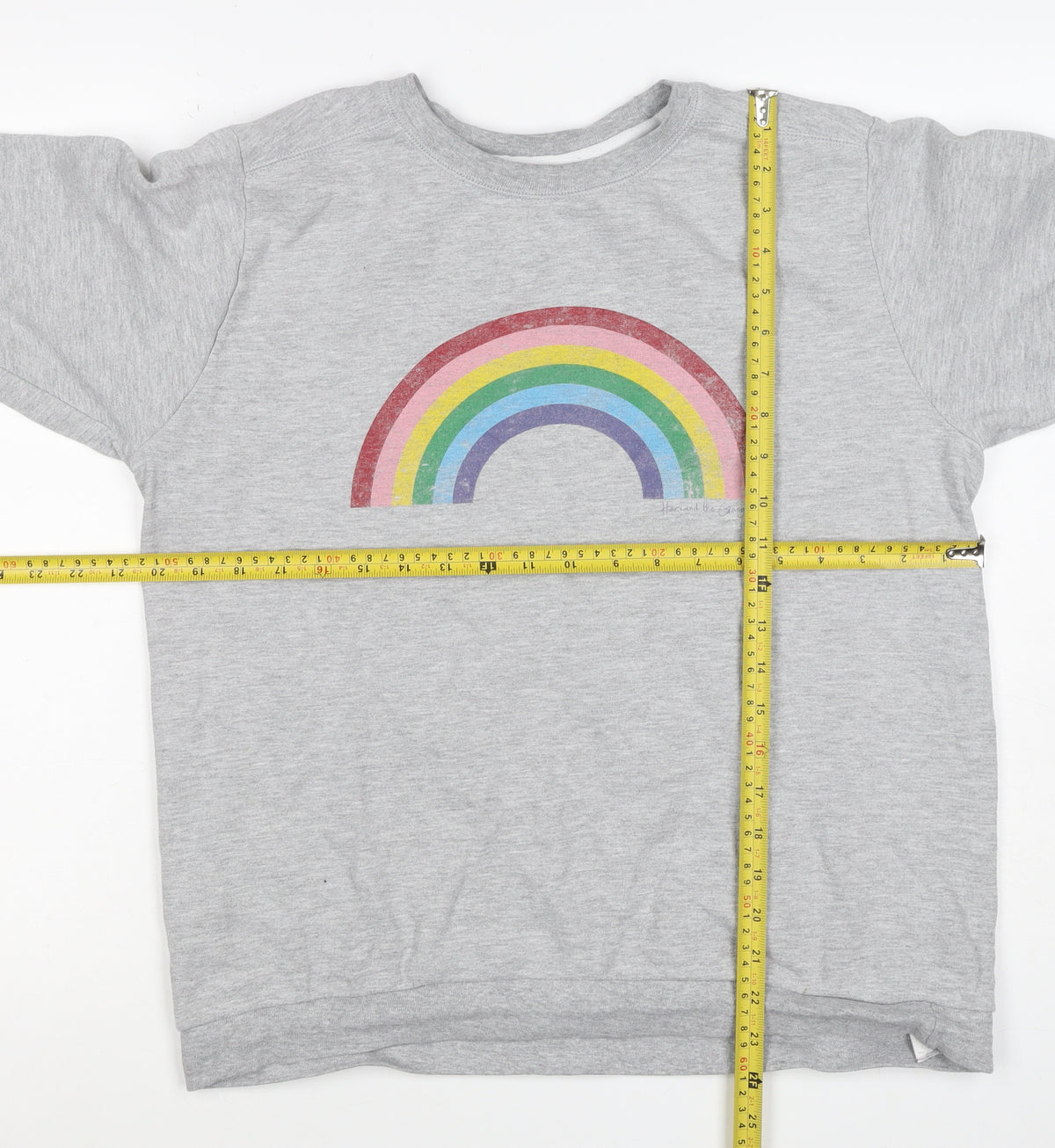 Hari & The Gang Women’s Grey M Rainbow Graphic Pullover Sweatshirt