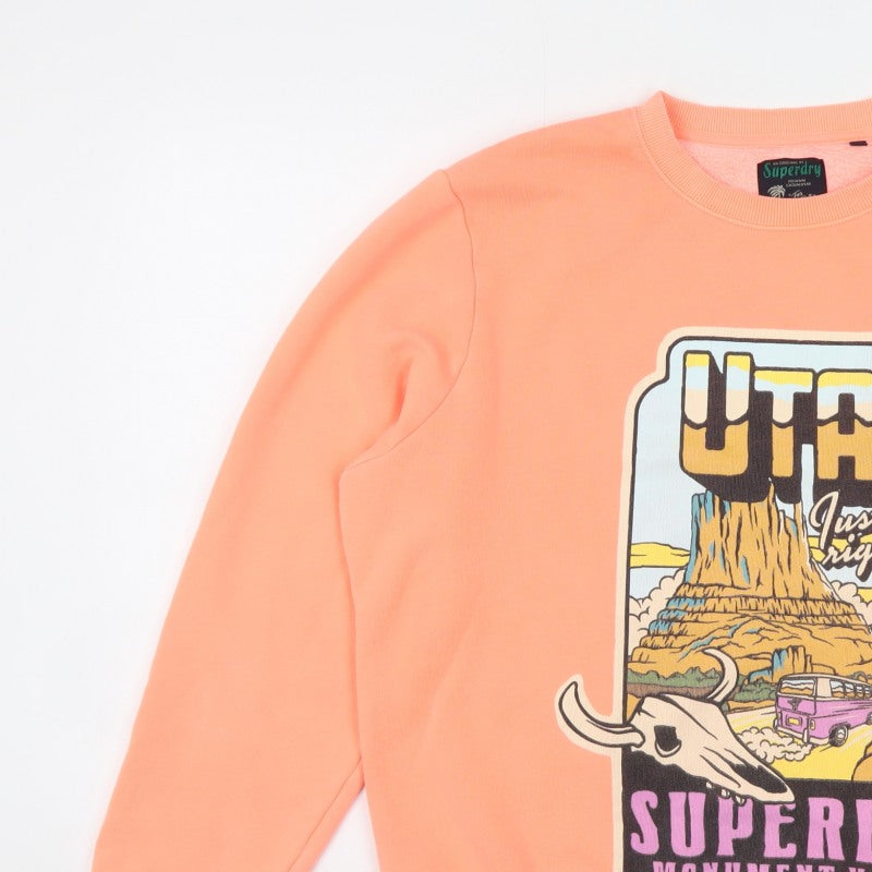 Superdry Men’s Orange 2XL Graphic Monument Valley Sweatshirt