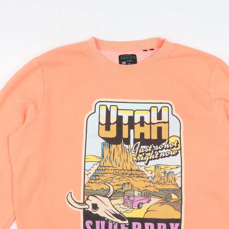 Superdry Men’s Orange 2XL Graphic Monument Valley Sweatshirt
