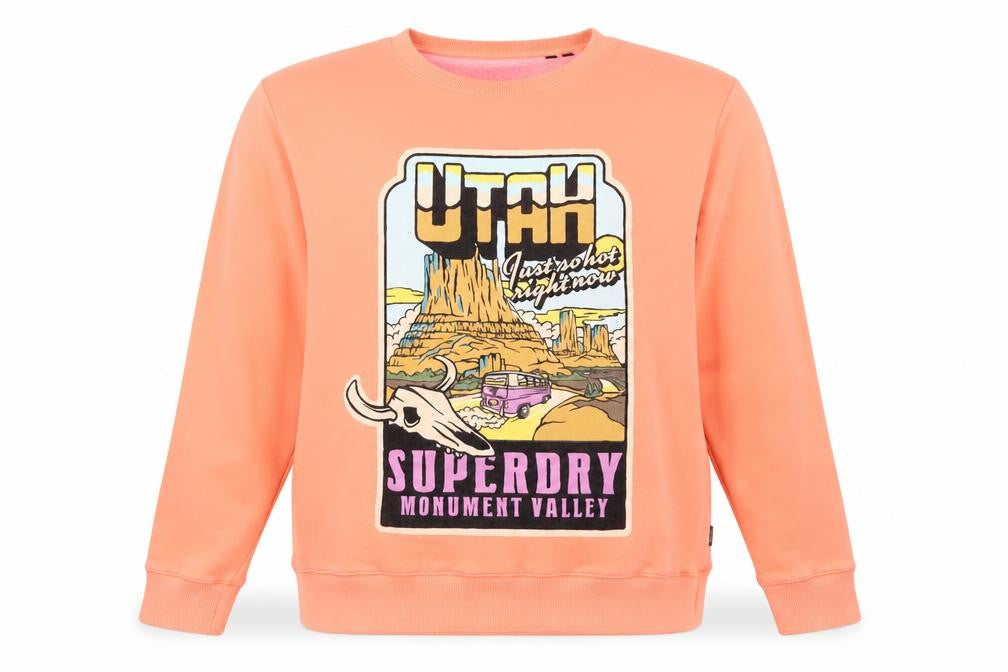 Superdry Men’s Orange 2XL Graphic Monument Valley Sweatshirt