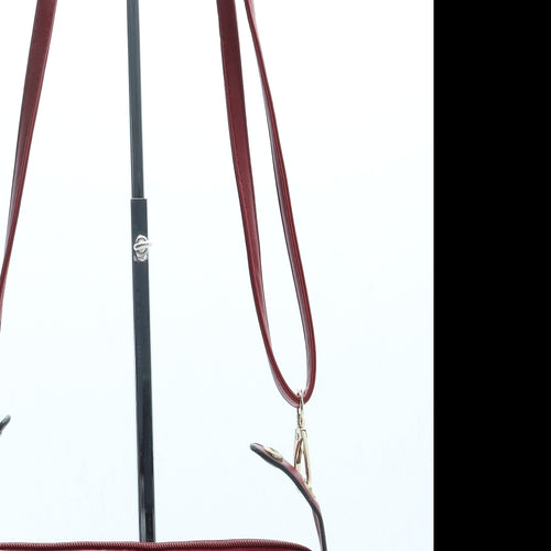 Preworn Womens Red Leather Crossbody Size Small