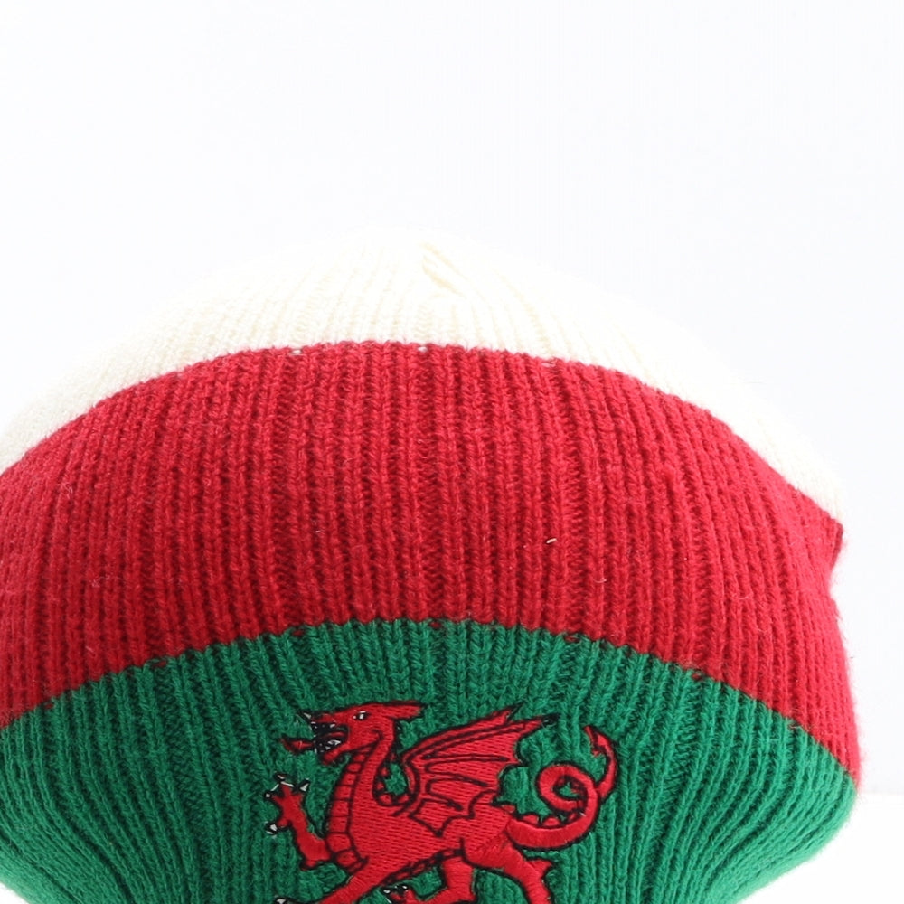 Wales Mens Multicoloured Striped Acrylic Beanie One Size - Welsh Dragon