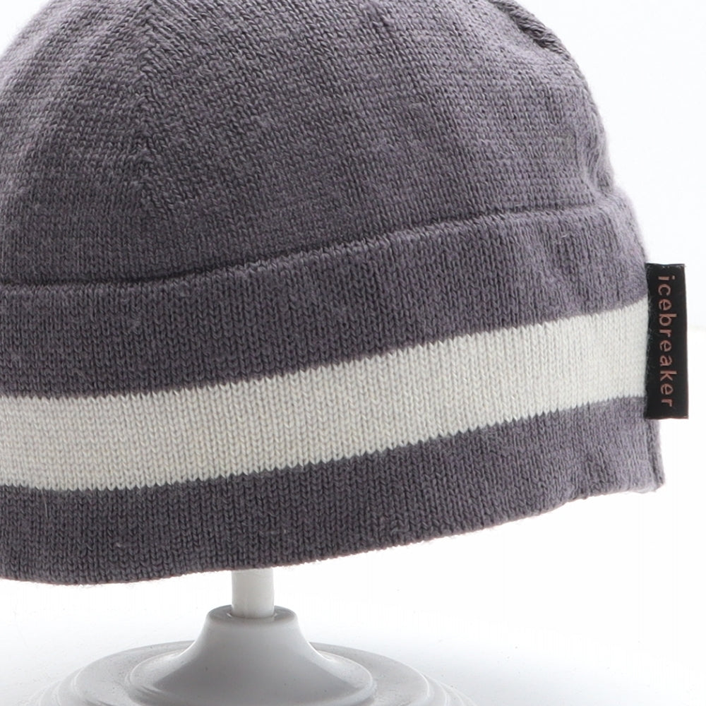 Icebreaker Mens Green Striped Wool Beanie One Size