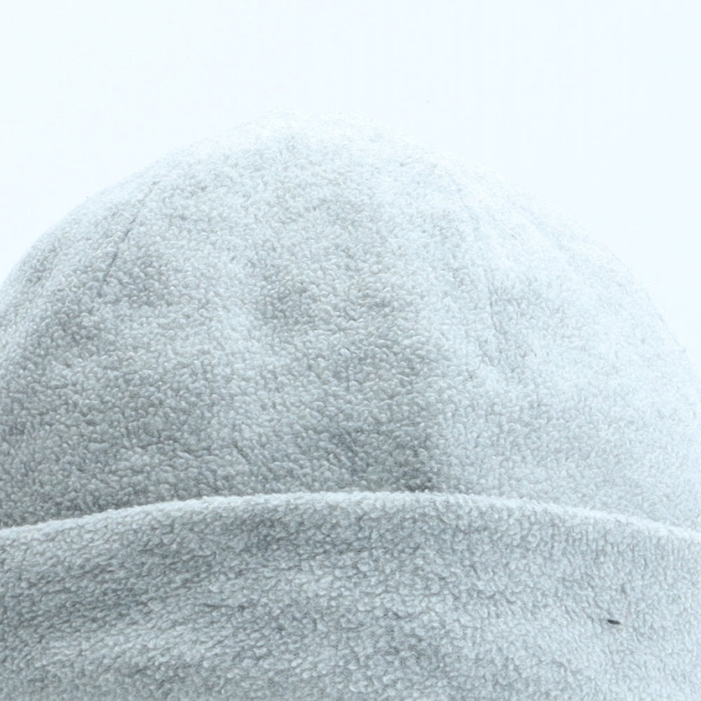 Thinsulate Womens Grey Polyester Beanie One Size