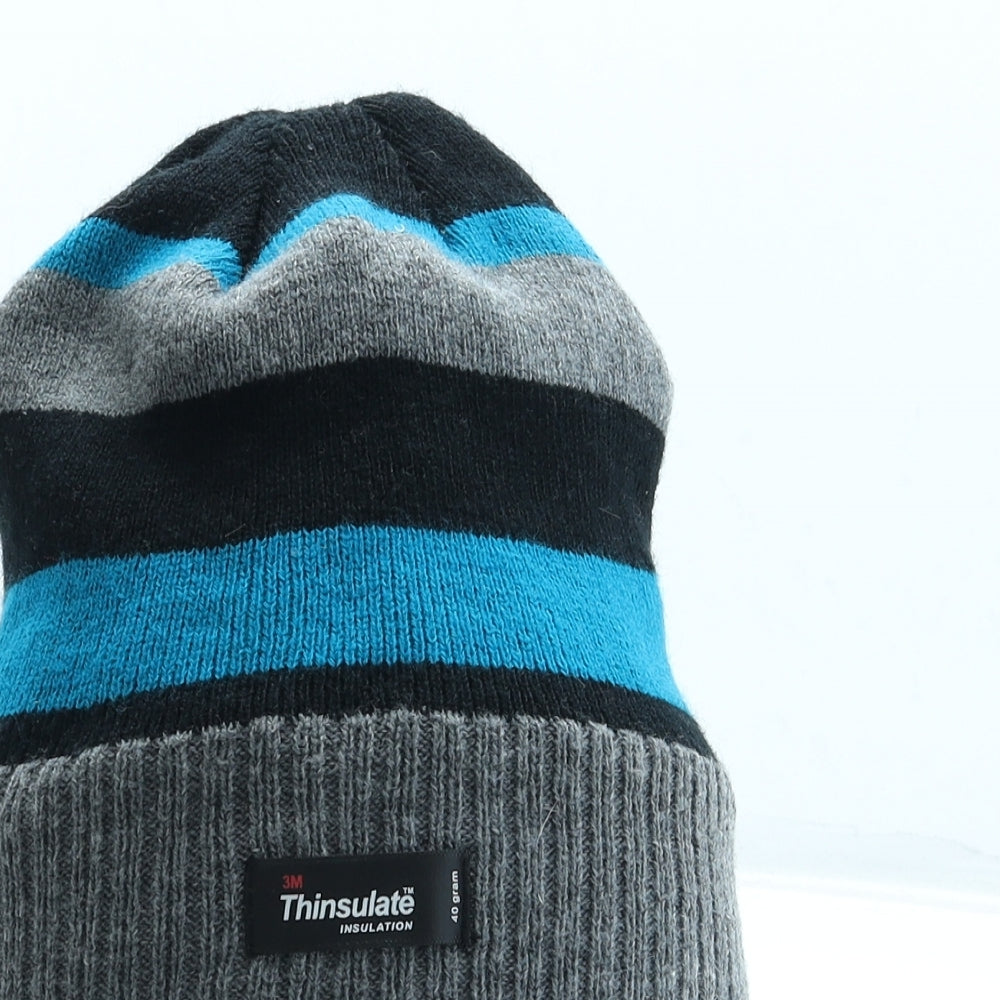 Thinsulate Mens Blue Striped Acrylic Beanie One Size