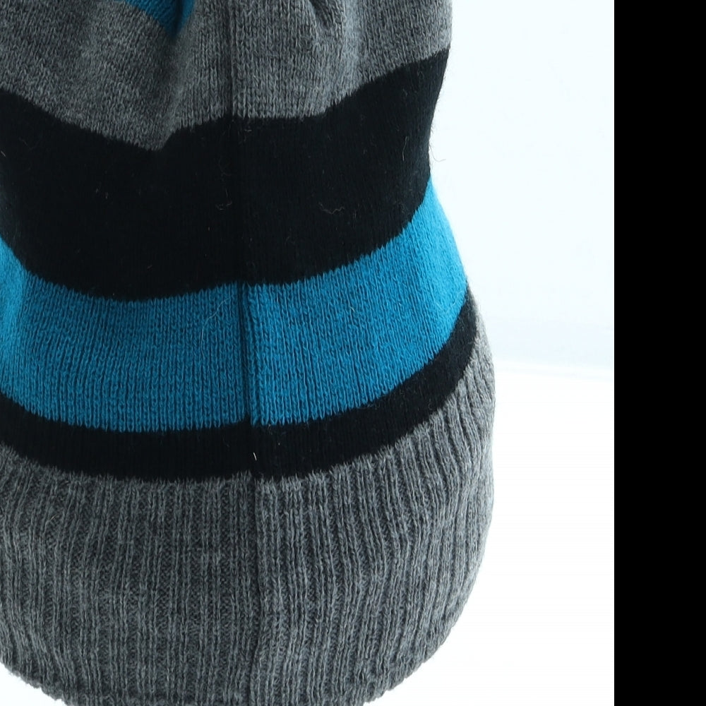 Thinsulate Mens Blue Striped Acrylic Beanie One Size